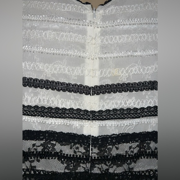Costarellos NWT Size FR 34 (US 2) Lace-trimmed Embroidered Tulle Dress In White - Picture 9 of 9